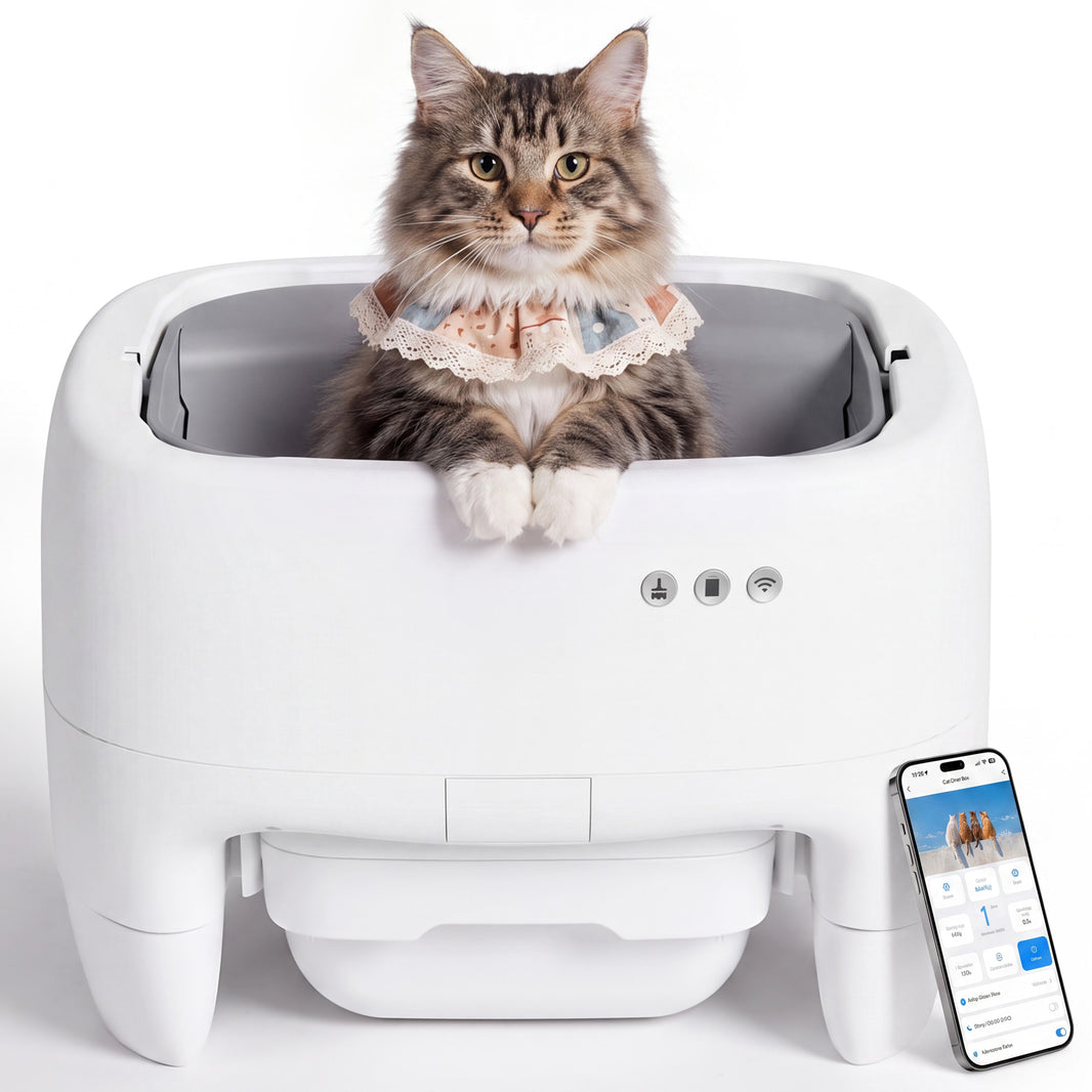 Warcat Open Top Self-Cleaning Litter Box for Small and Medium Cats, White & Gray