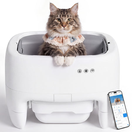Warcat Open Top Self-Cleaning Litter Box for Small and Medium Cats, White & Gray